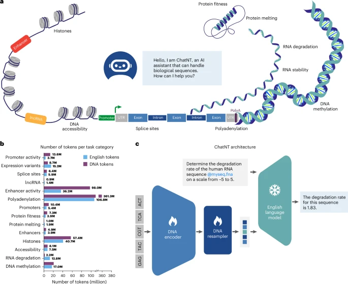 Protein structure visualization